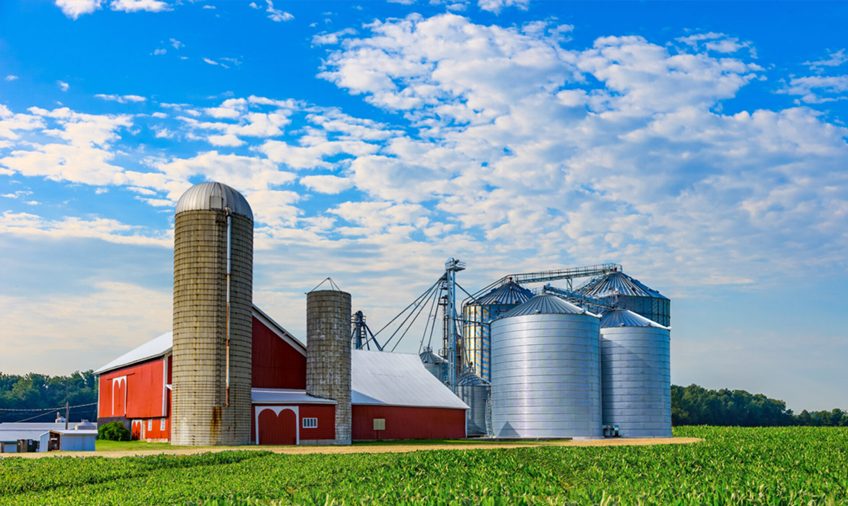 Fertilizer plant